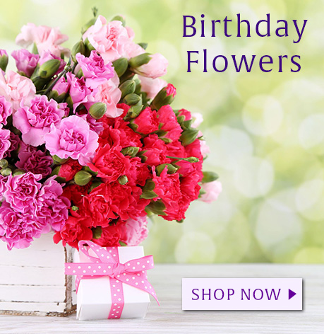 San Fernando Valley Birthday Flowers